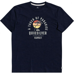 Quiksilver QUIET HOUR SS Pánské triko, tmavě modrá, velikost XXL